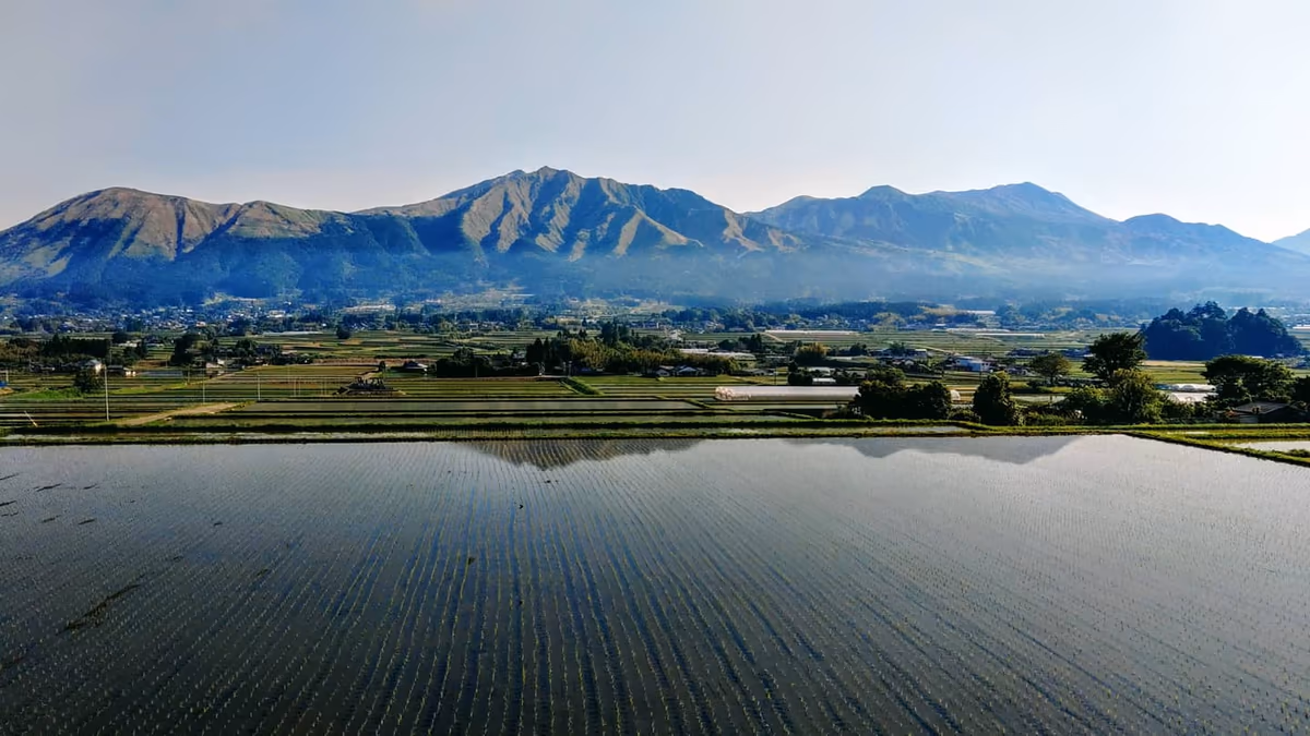 投稿写真：南阿蘇の田