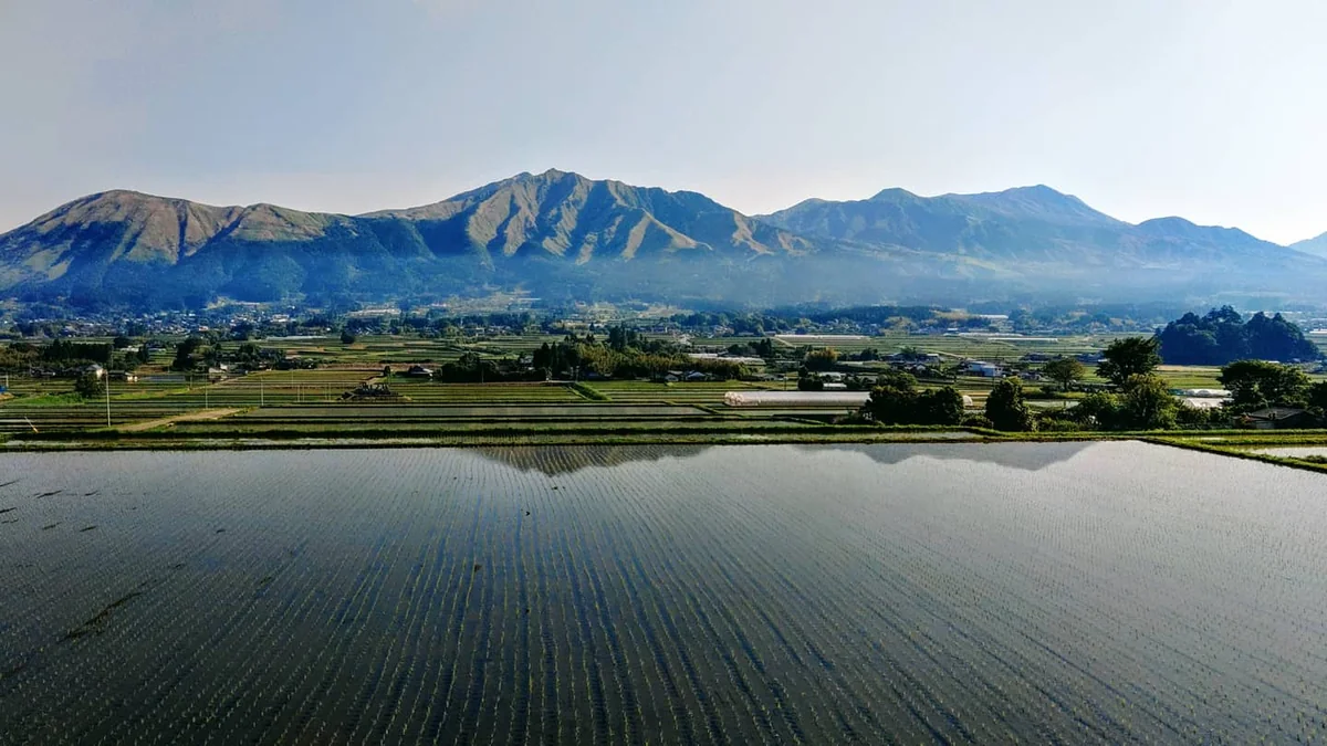 投稿写真：南阿蘇の田