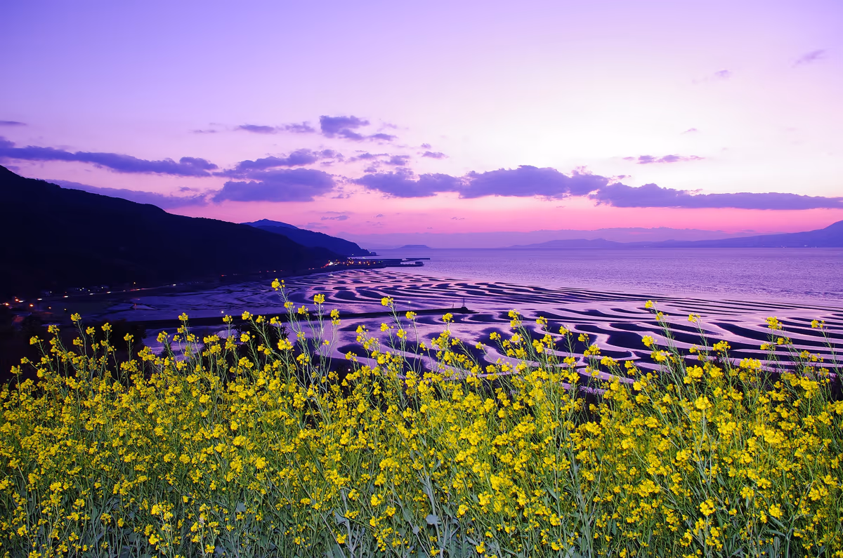 投稿写真：春の御輿来海岸