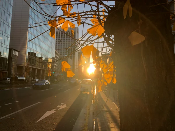 投稿：都会の黄昏