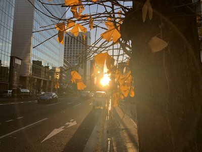  | 絶景事典