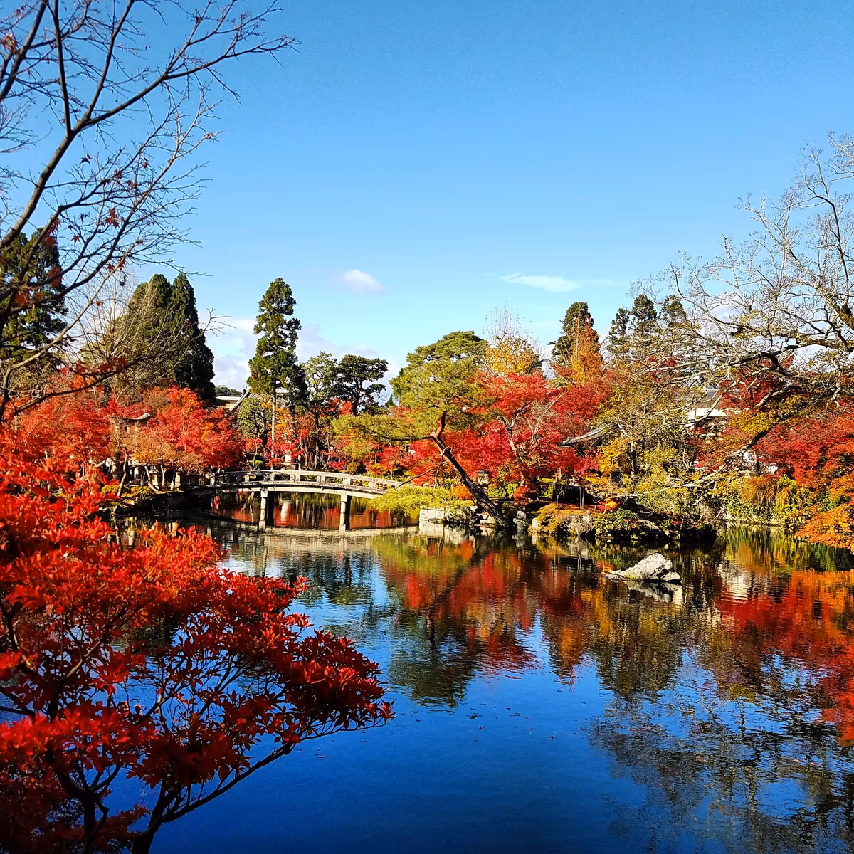 投稿写真：永観堂 禅林寺