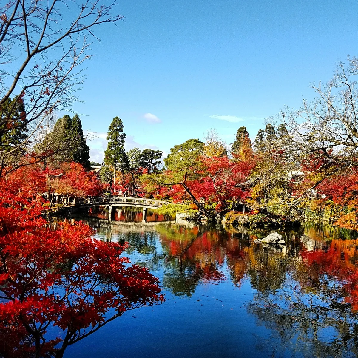 投稿写真：永観堂 禅林寺