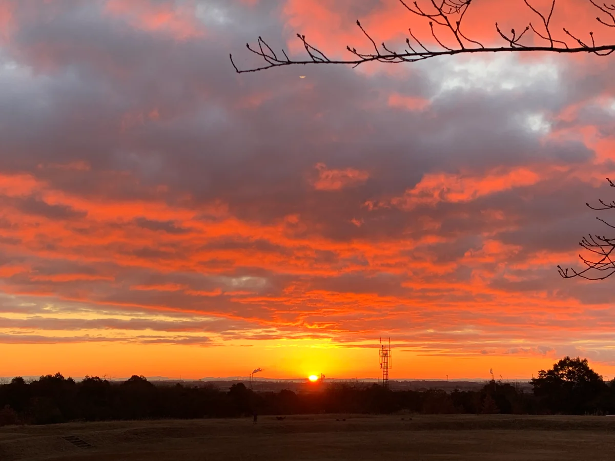 投稿写真：初日の出