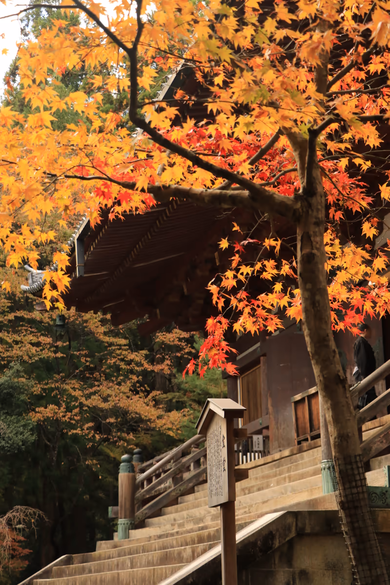 投稿写真：神護寺金堂