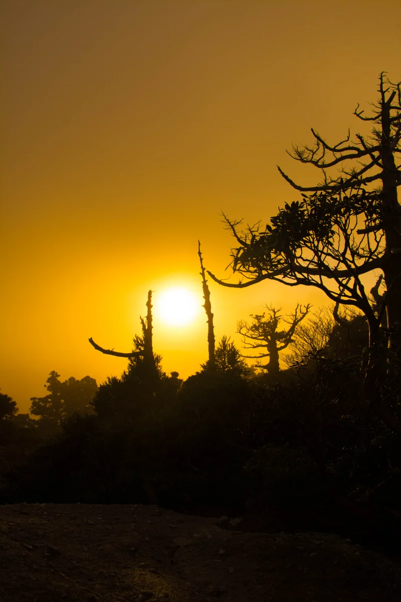 投稿写真：宮之浦岳の朝靄
