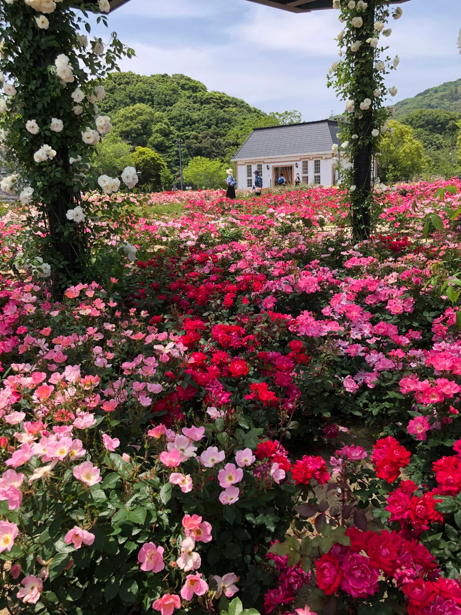 投稿写真：ハウステンボス(長崎県佐世保市)