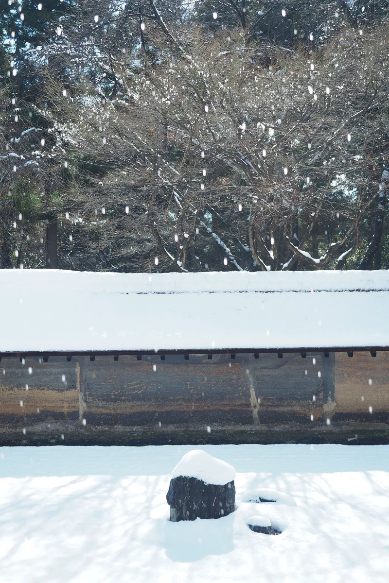 投稿写真：雪の庭　雪解けの雫