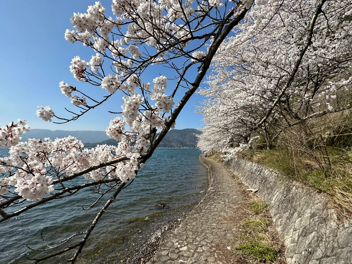 投稿写真：海津大崎
