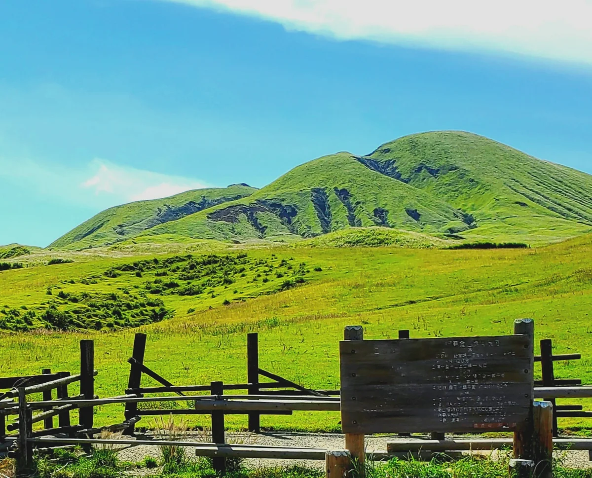 投稿写真：緑一色