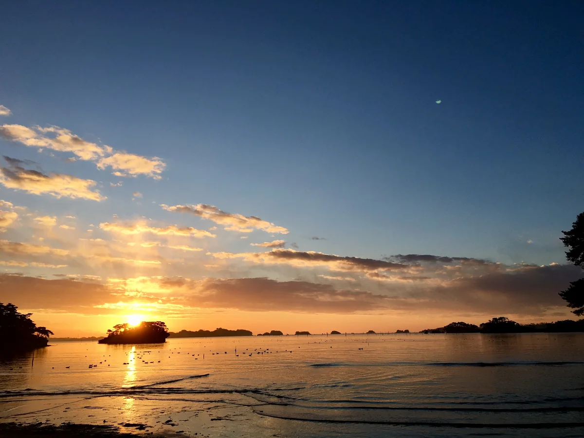 投稿写真：初日の出