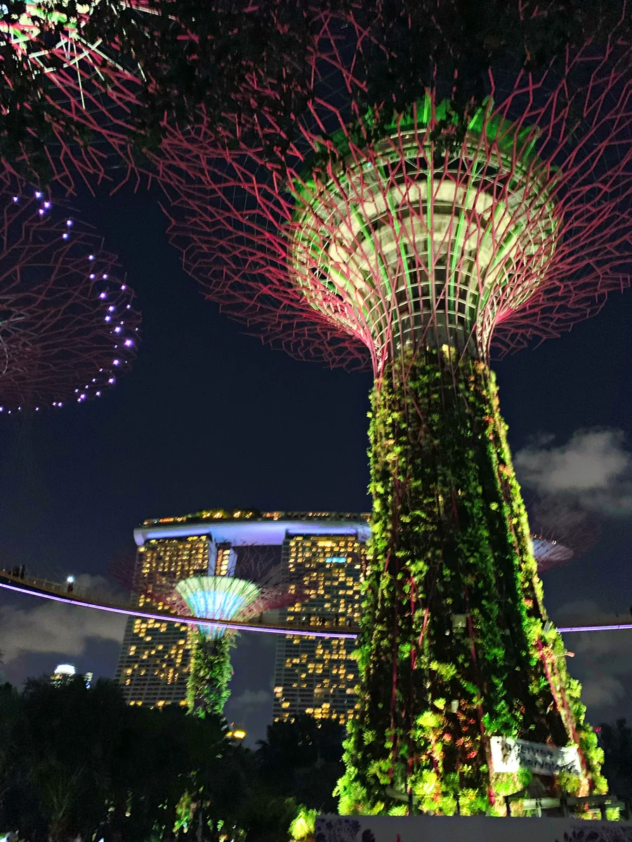 投稿写真：ガーデンズ・バイ・ザ・ベイ