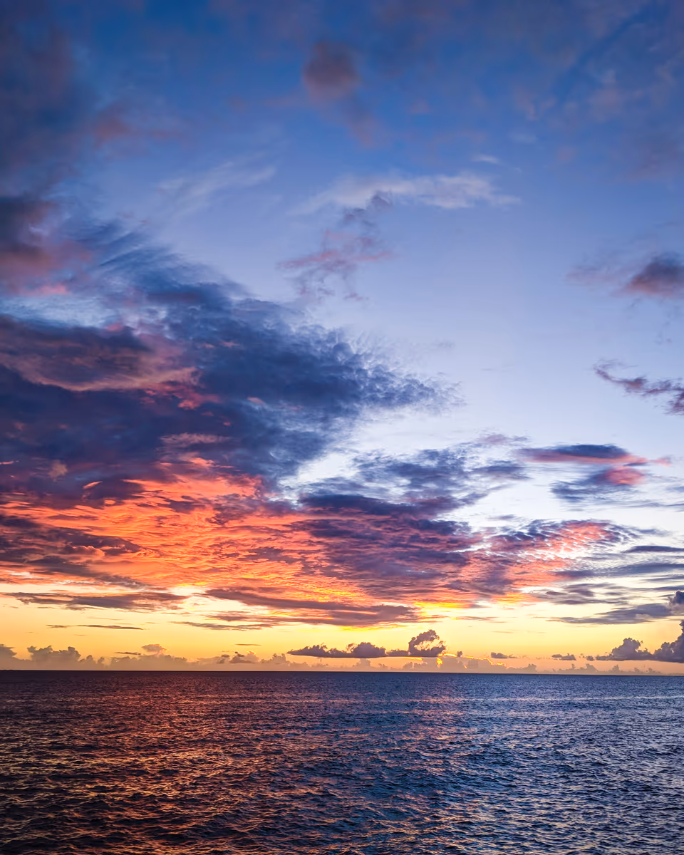 投稿写真：夕方