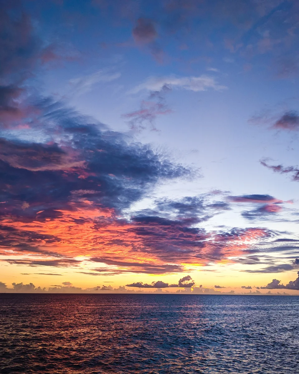 投稿写真：夕方