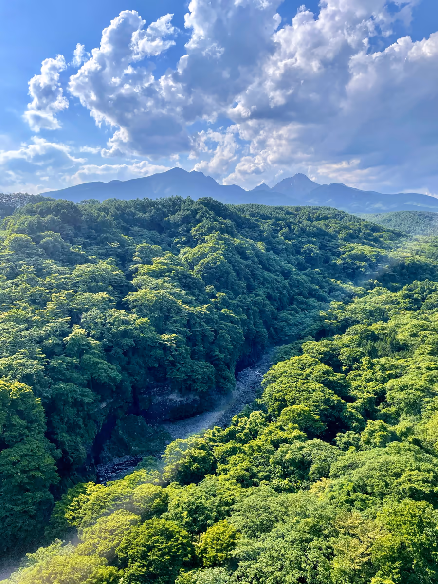 投稿写真：山梨県の自然
