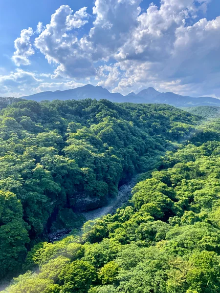 投稿：山梨県の自然