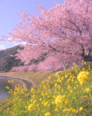  | 絶景事典