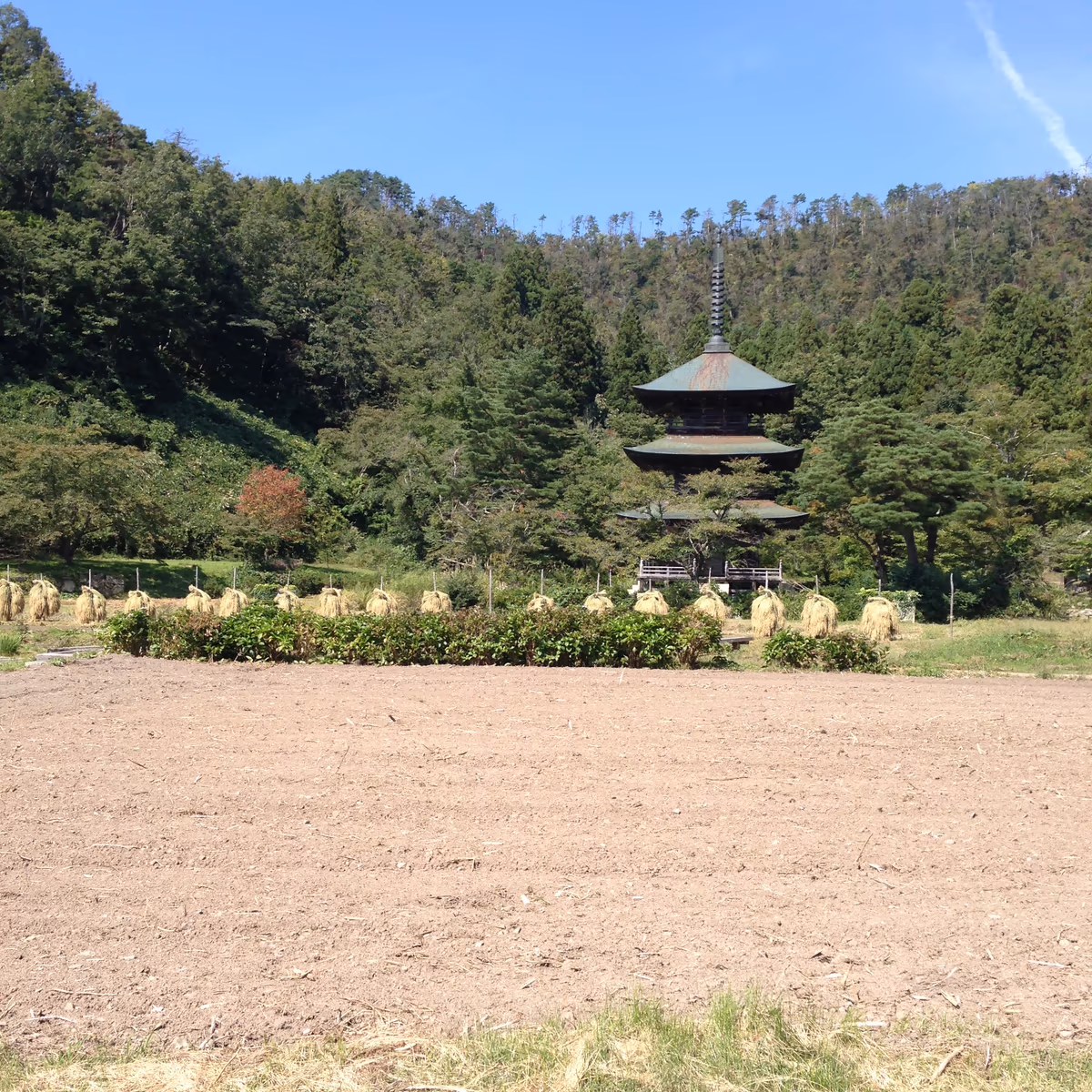 投稿写真：三重塔