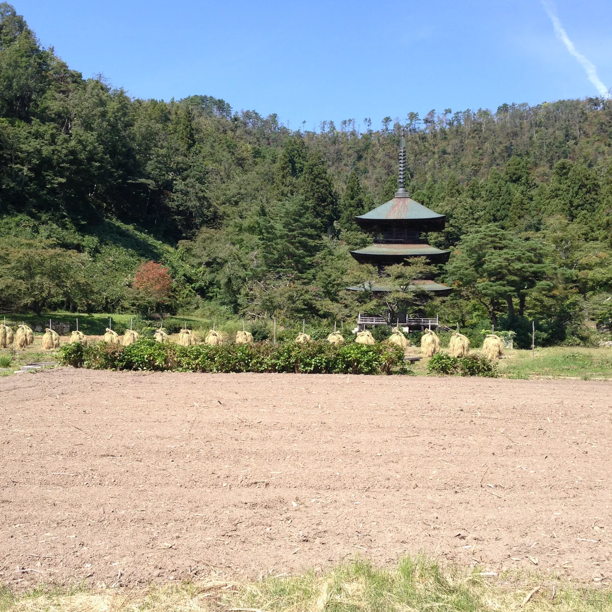 投稿写真：三重塔