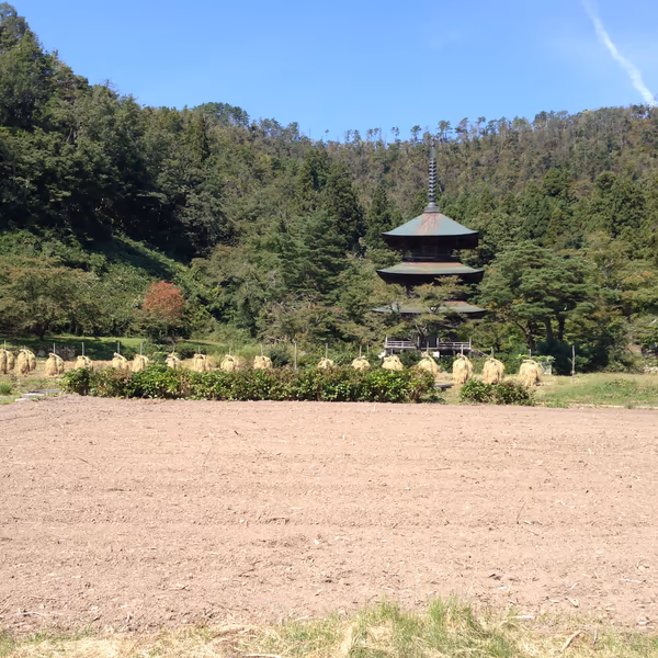 投稿：三重塔