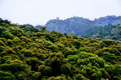  | 絶景事典