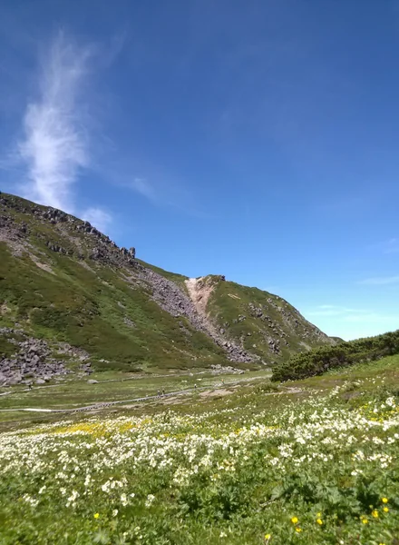 投稿：乗鞍高原の夏