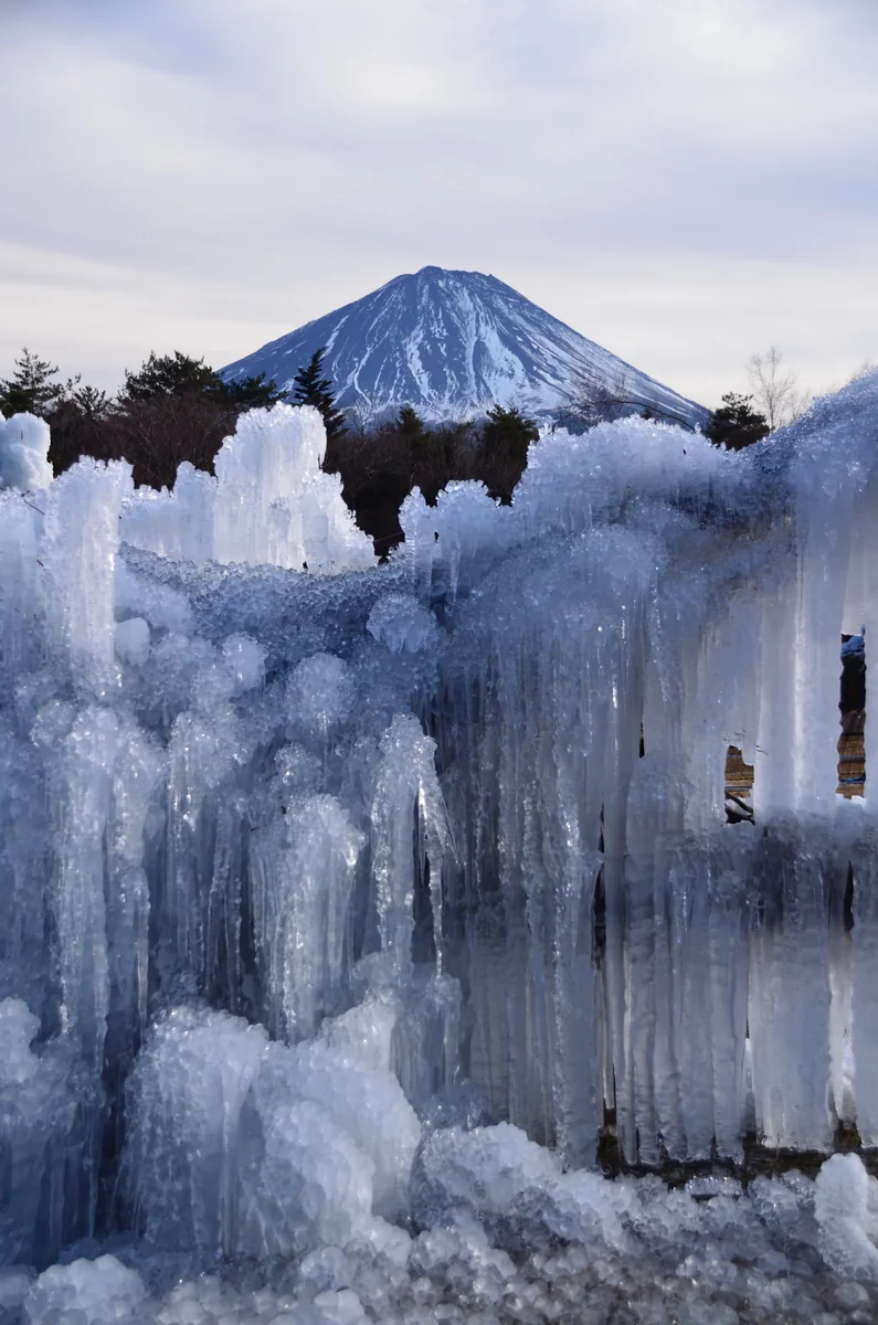 投稿写真：氷結