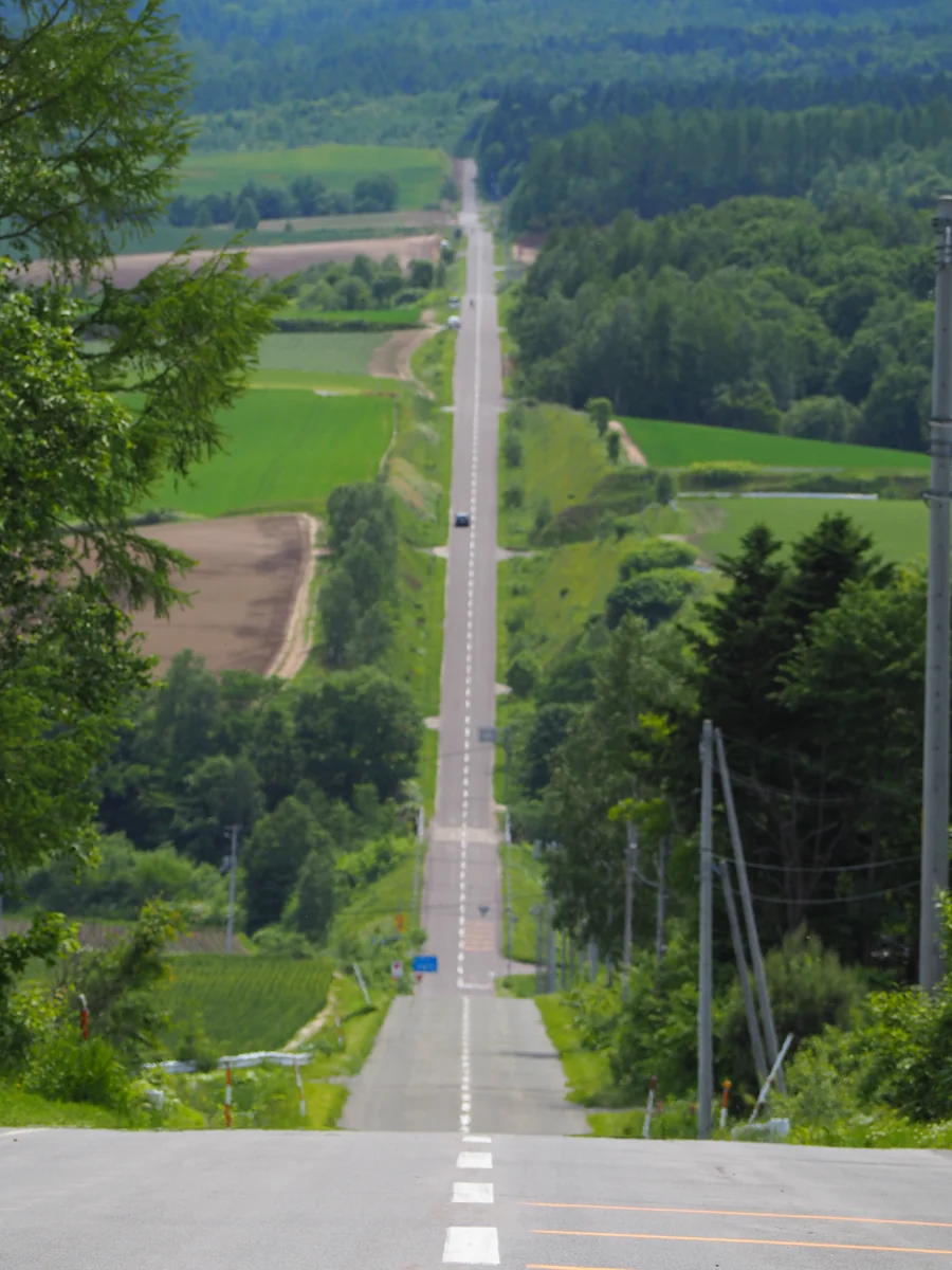 投稿写真：ジェットコースターの路