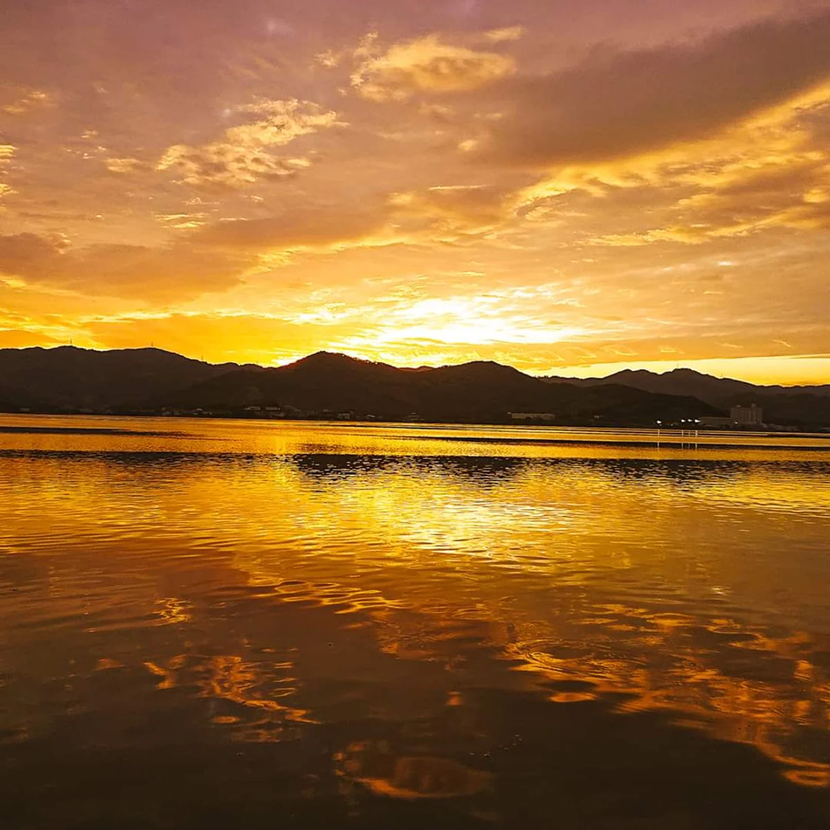 投稿写真：夕暮れの水辺