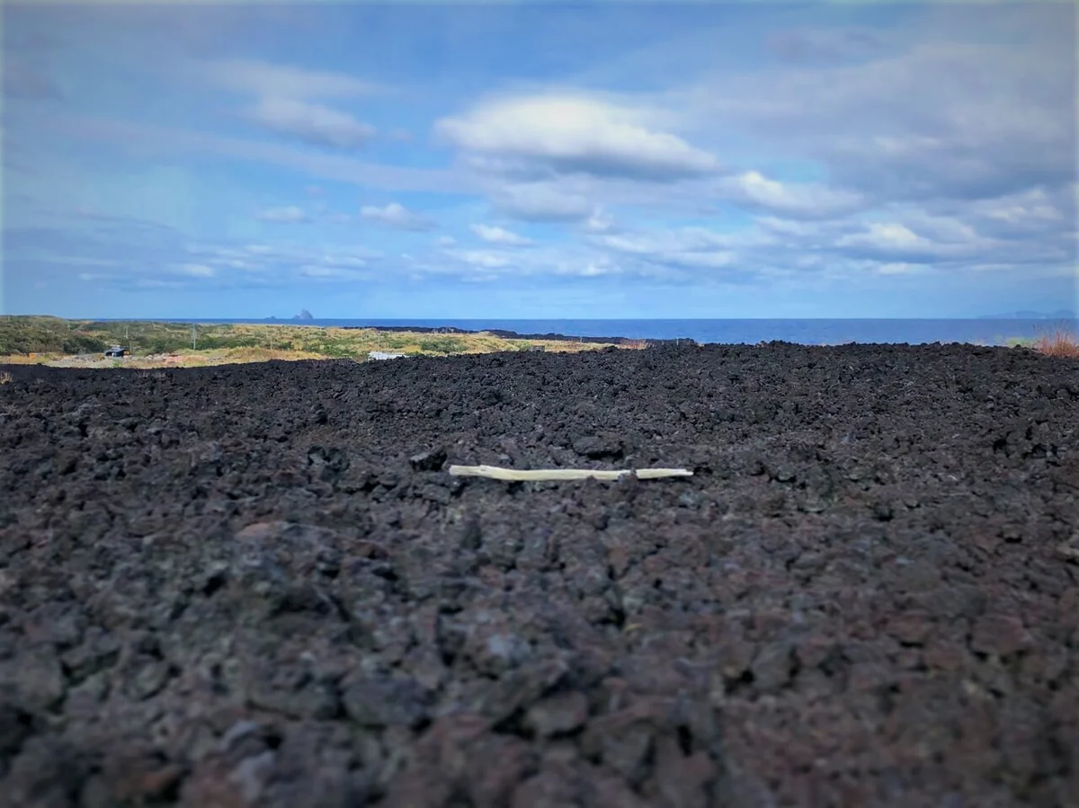 投稿写真：溶岩埋没地