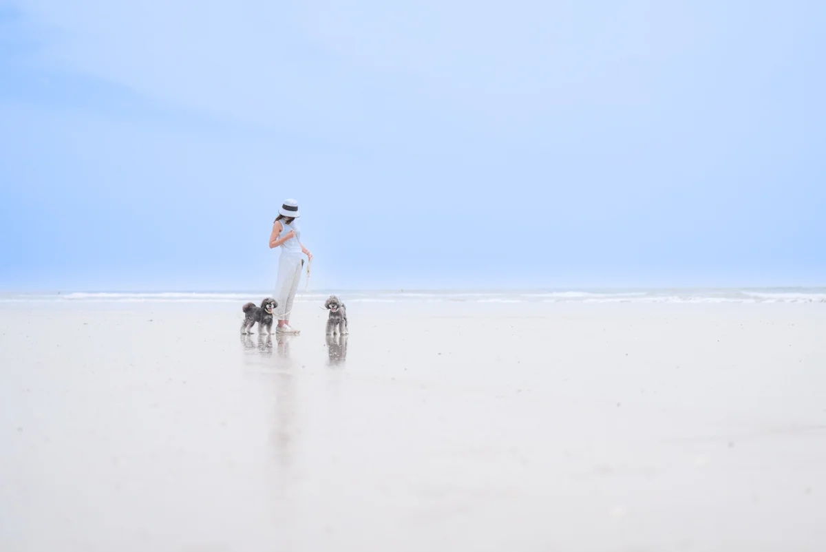投稿写真：海と空とパートナーと。