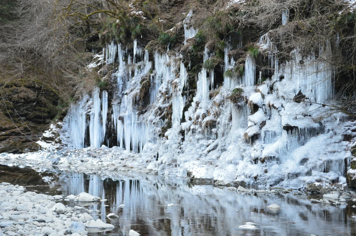 Kaori Nさんの投稿写真