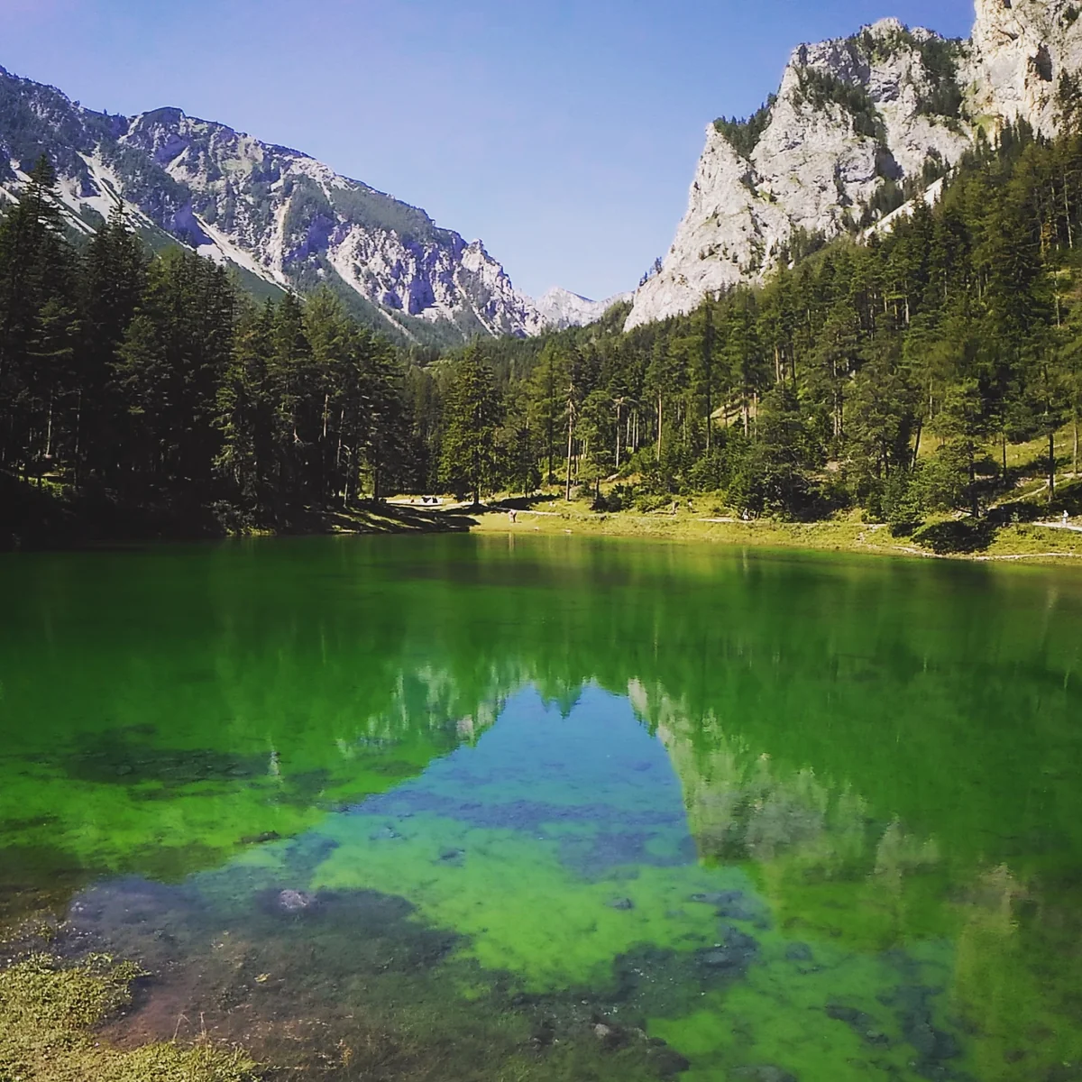 投稿写真：オーストリア　グリューナー湖