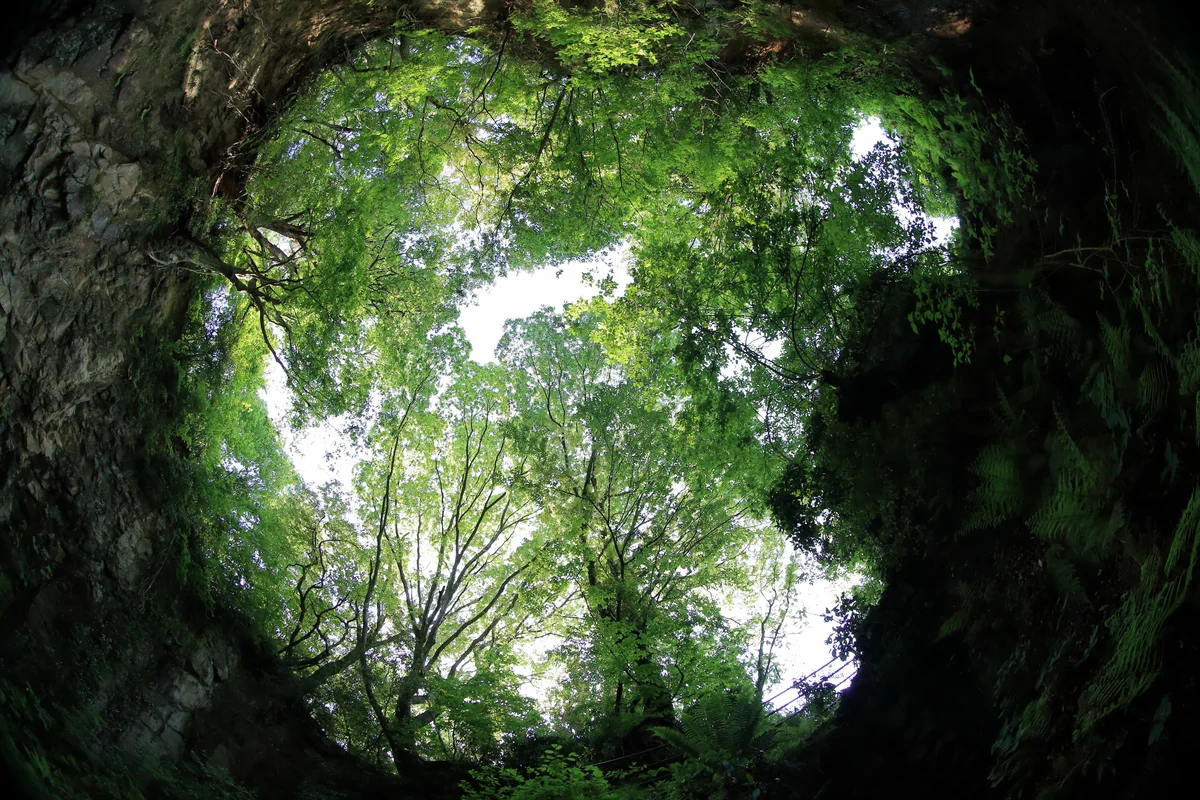 投稿写真：癒しの空間