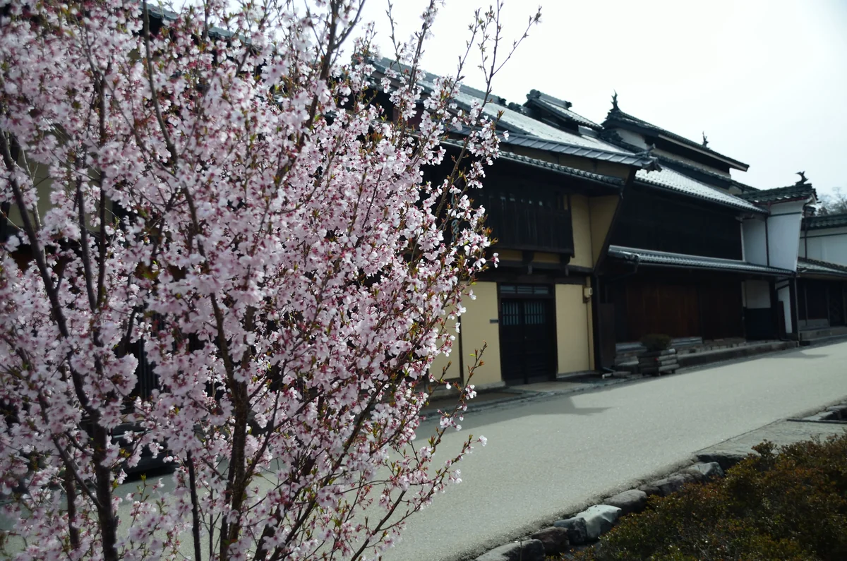 投稿写真：海野宿