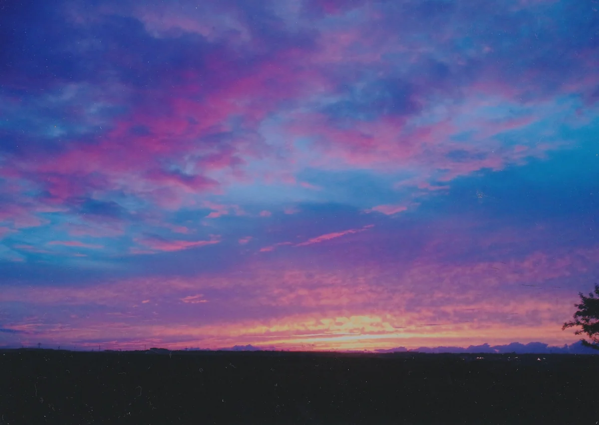 投稿写真：日没