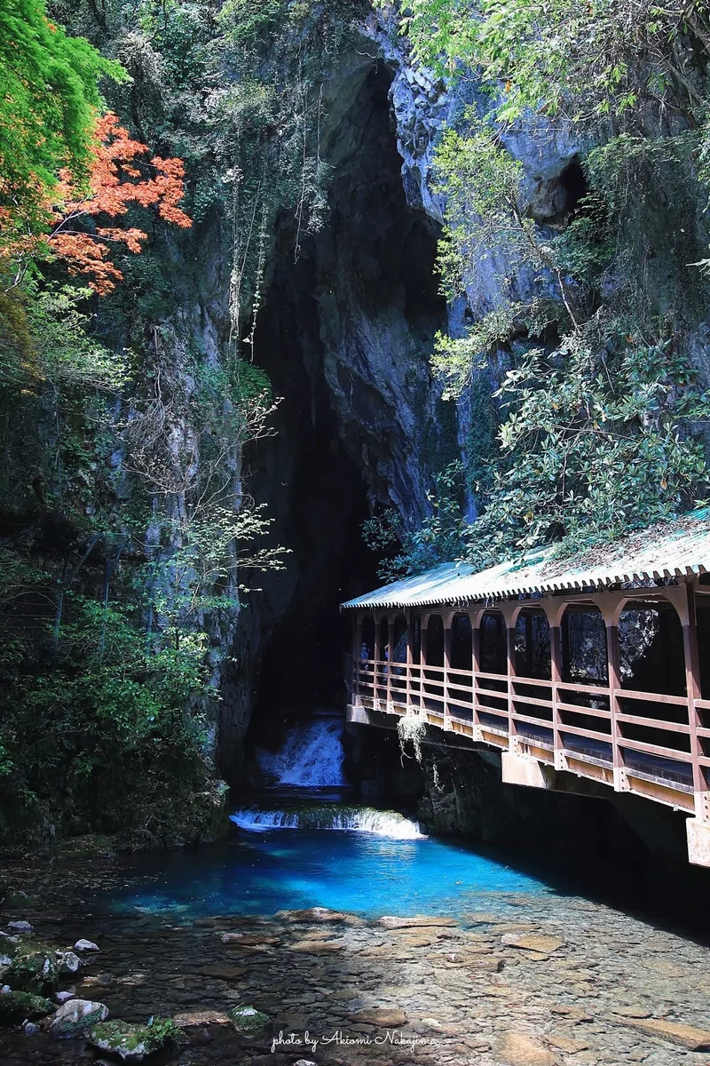 投稿写真：秋芳洞への入口