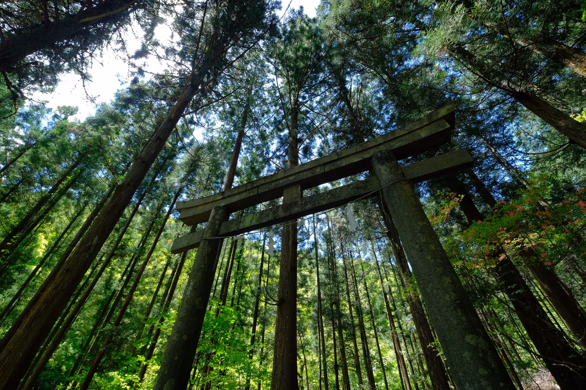 投稿写真：ひそやかに