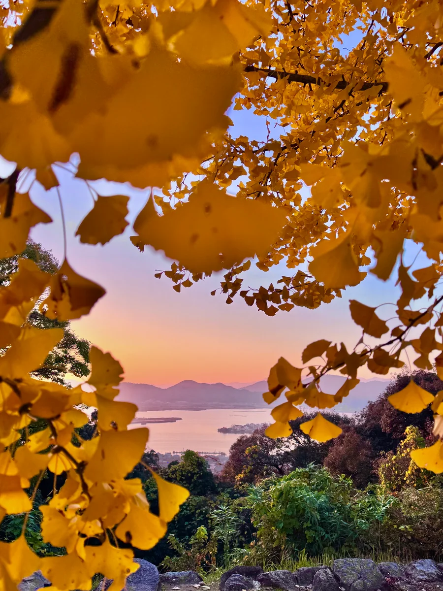 投稿写真：夕景の安土城跡 〜摠見寺跡〜