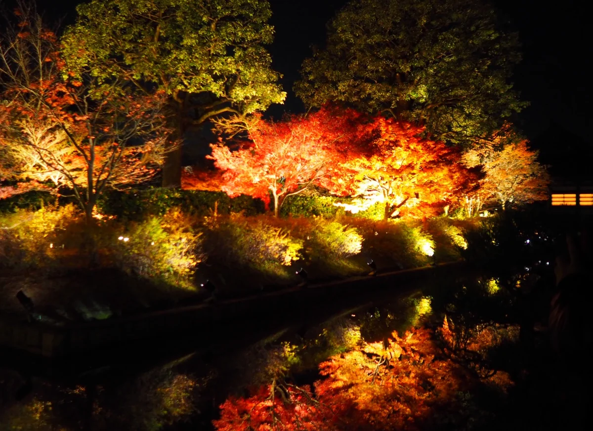 投稿写真：東寺