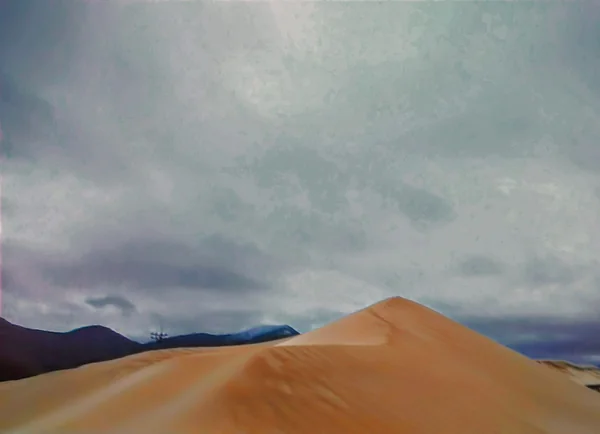 投稿：詐欺砂丘