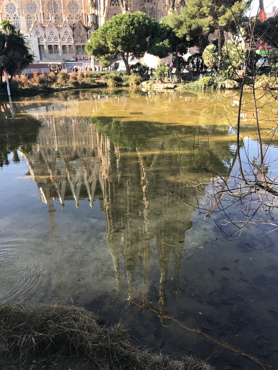 投稿写真：サクラダファミリア