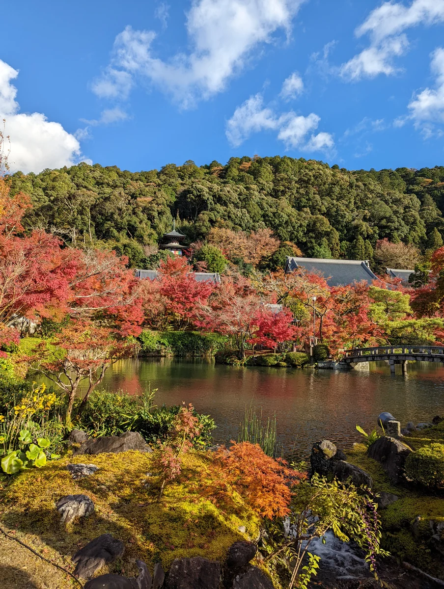 投稿写真：秋の永観堂