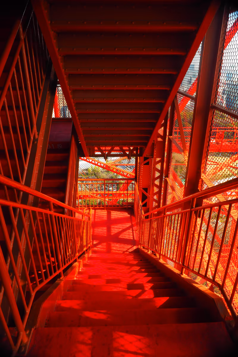 投稿写真：東京タワー　紅の回廊
