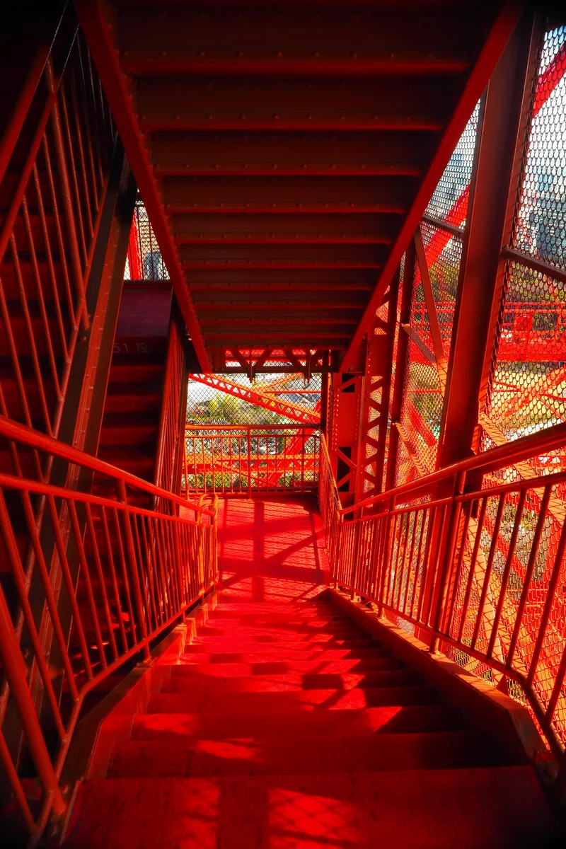 投稿写真：東京タワー　紅の回廊