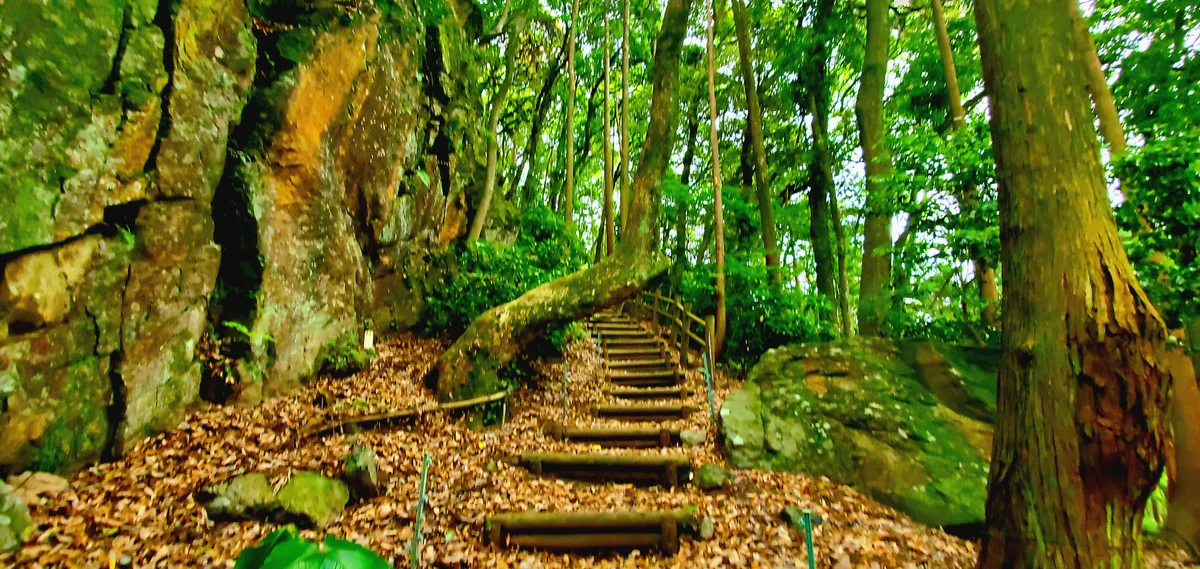 投稿写真：巨石群と遊歩道