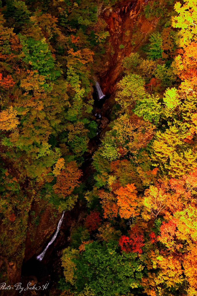 投稿写真：つばくろ谷