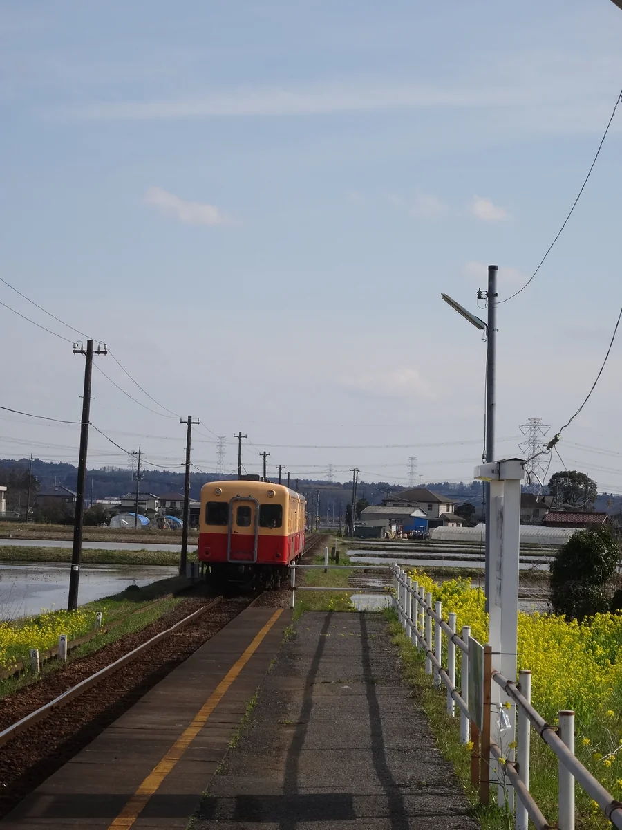 投稿写真：『のどかな田園風景』／上総三又駅