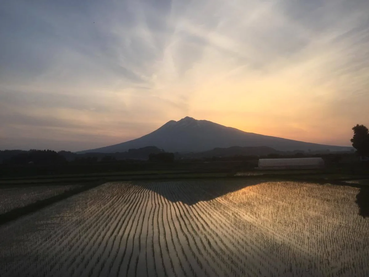 投稿写真：岩木山（津軽富士）と田園の共演