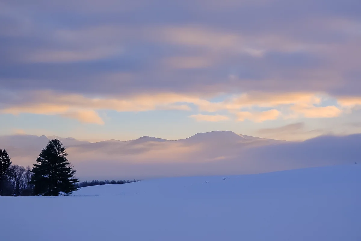 投稿写真：冬の富良野２